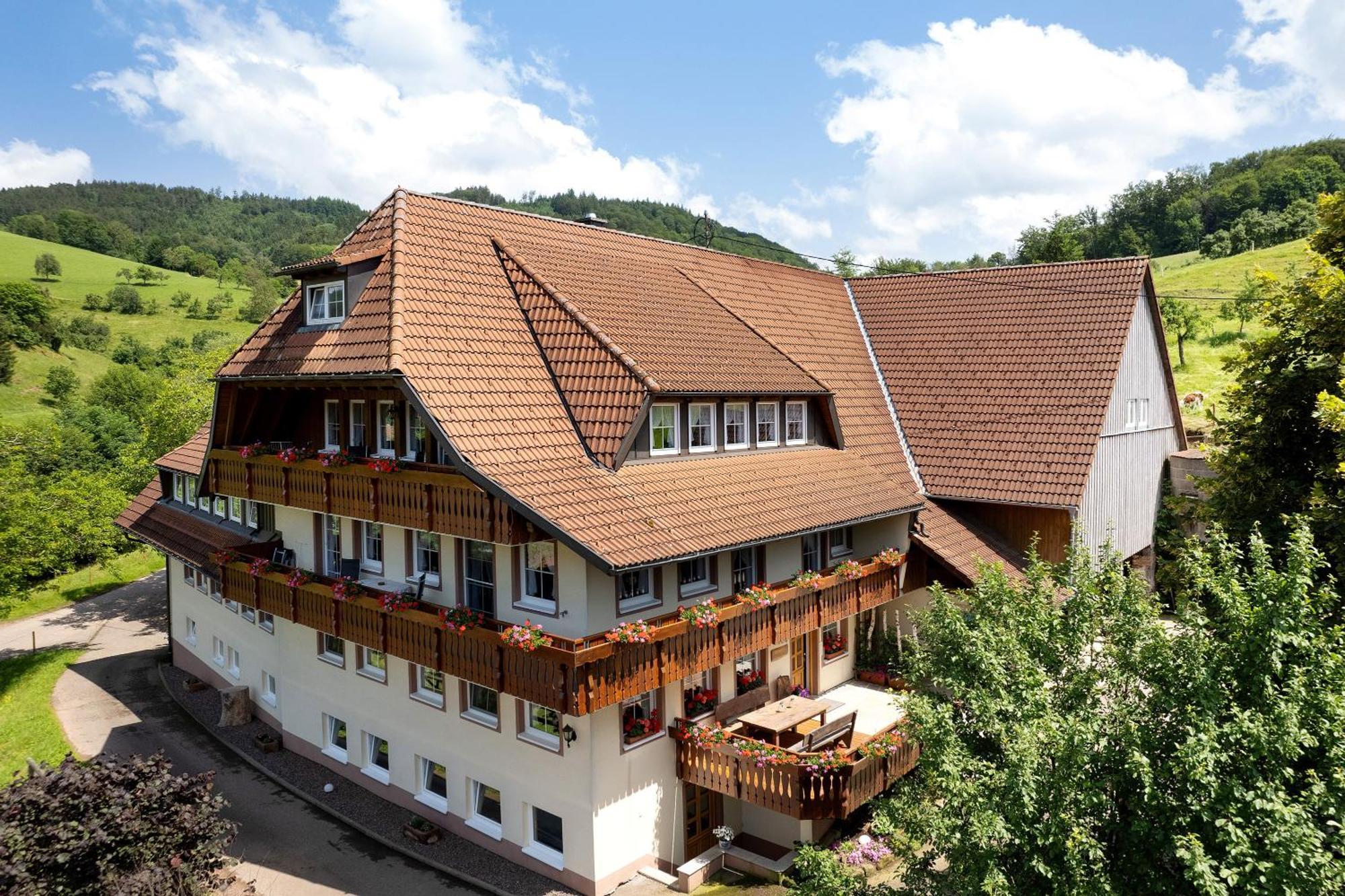 Apartamento Danielenhof Freiamt Exterior foto