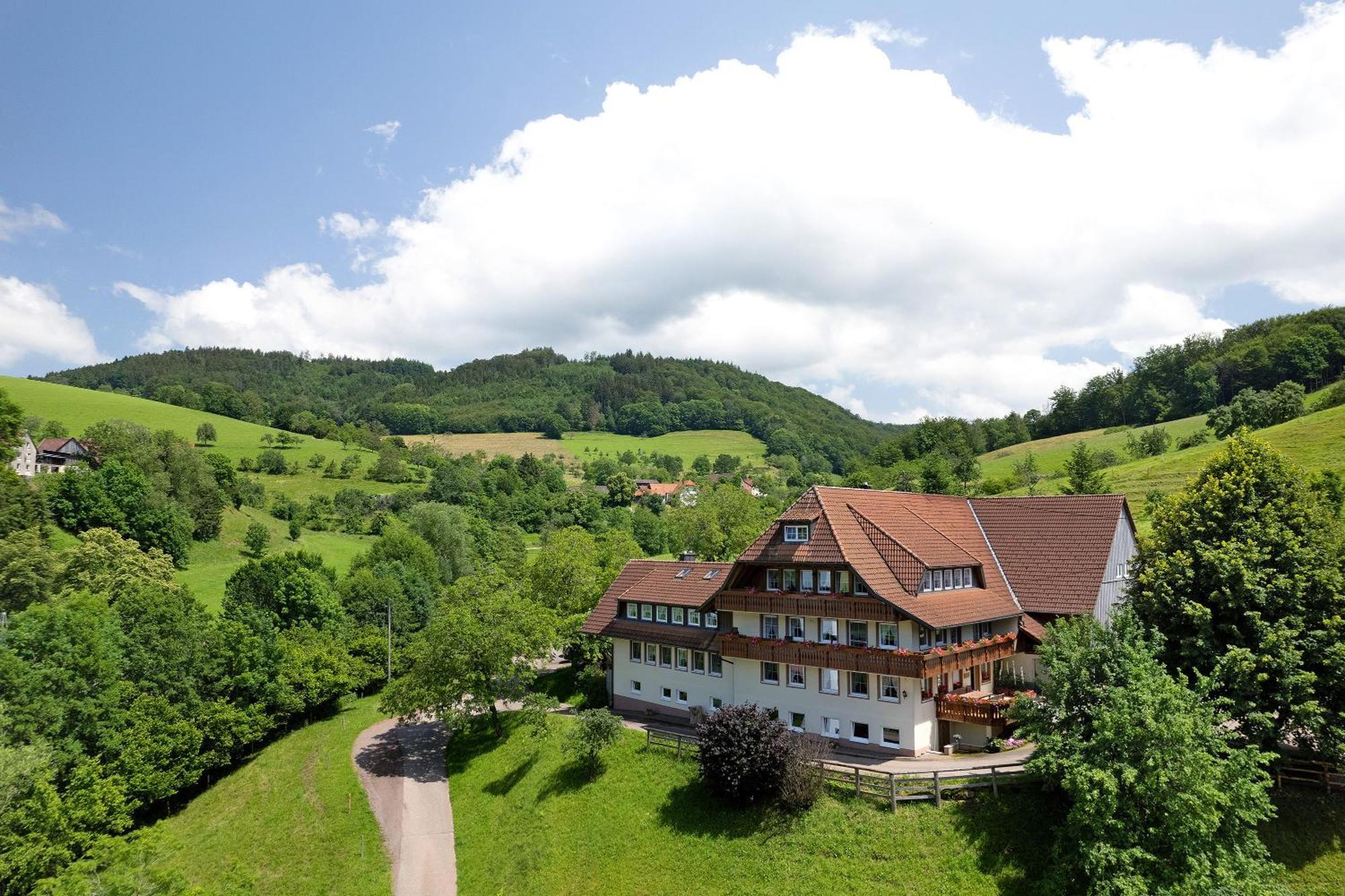 Apartamento Danielenhof Freiamt Exterior foto