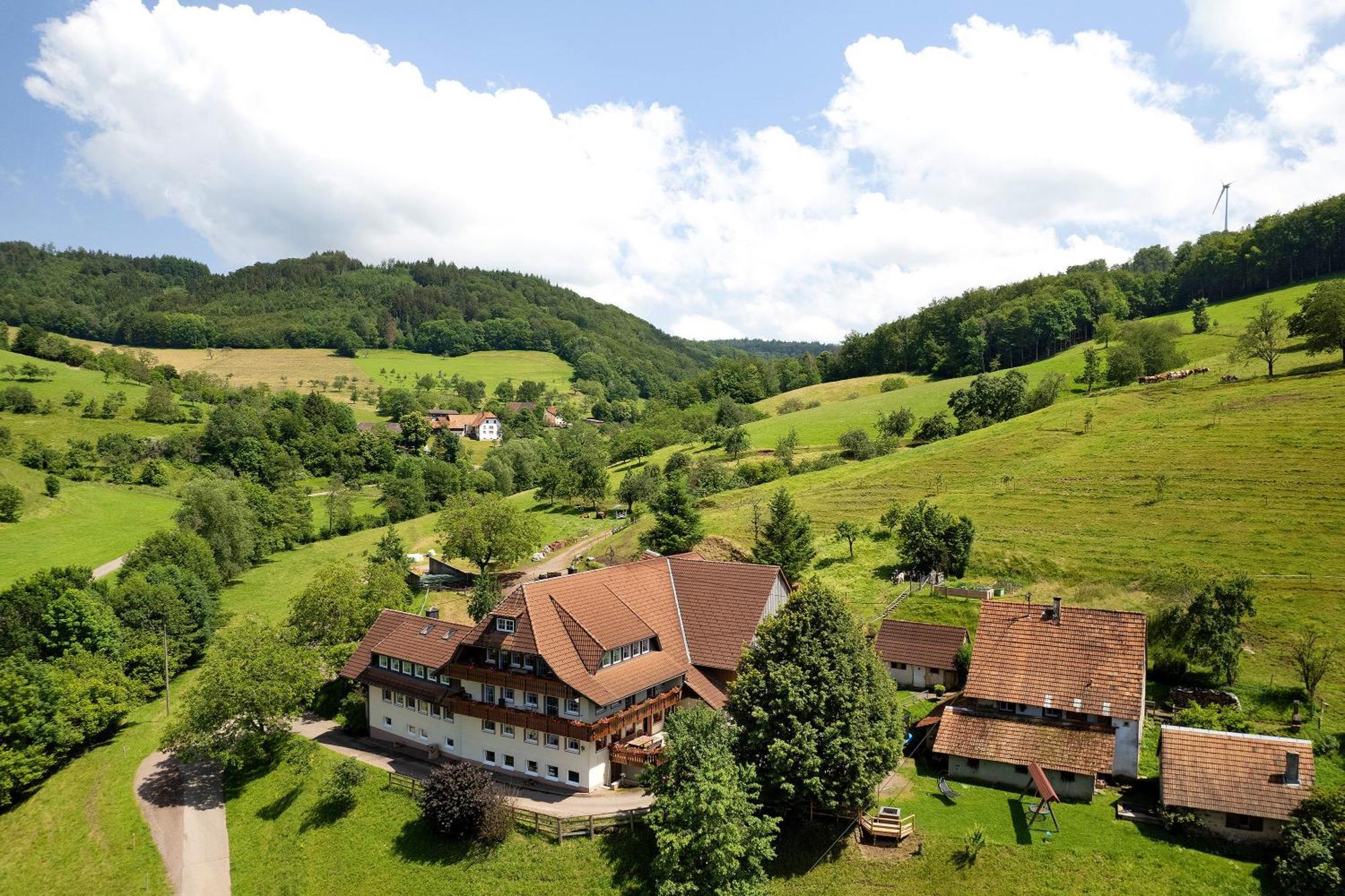 Apartamento Danielenhof Freiamt Exterior foto