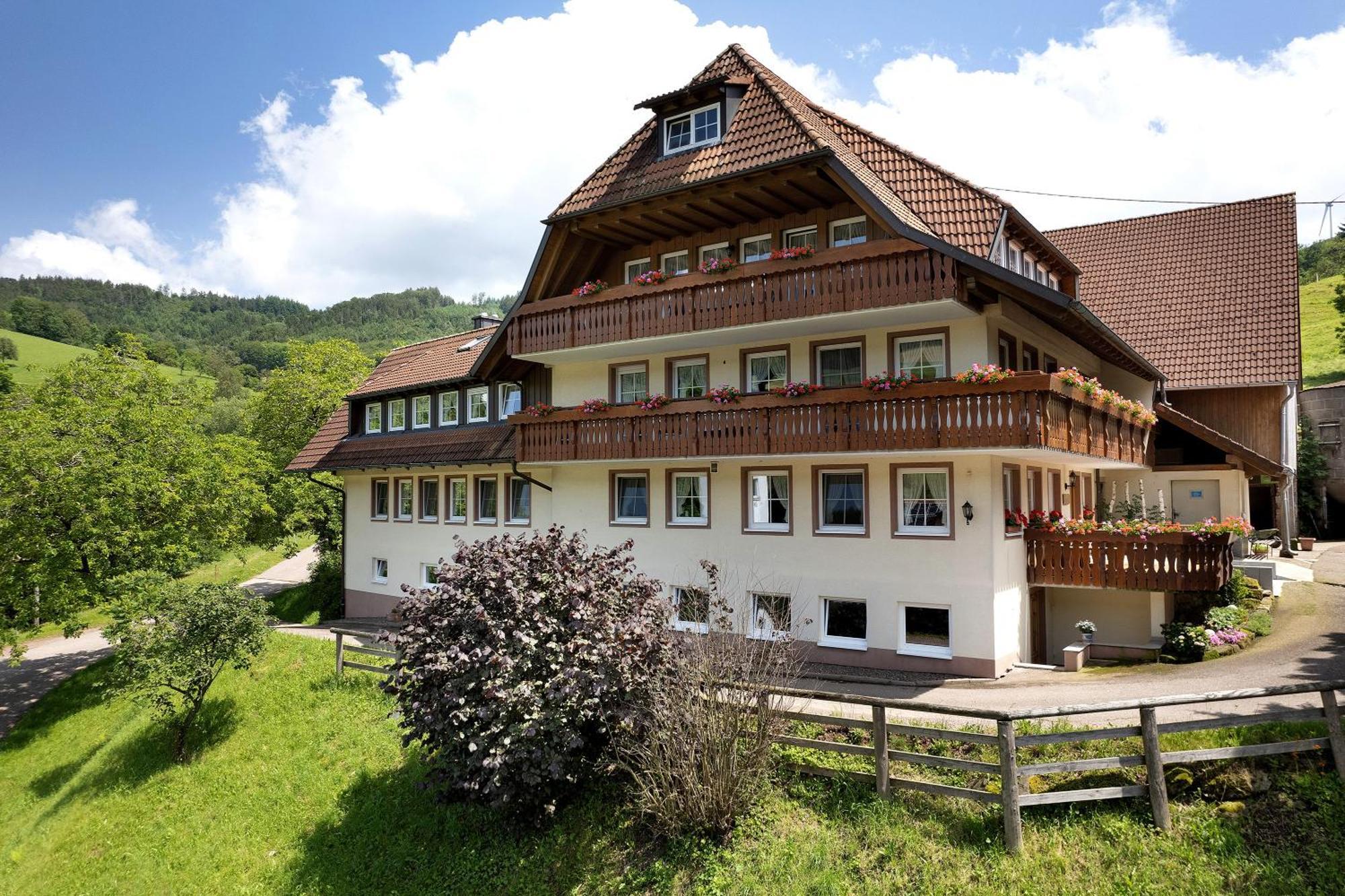 Apartamento Danielenhof Freiamt Exterior foto